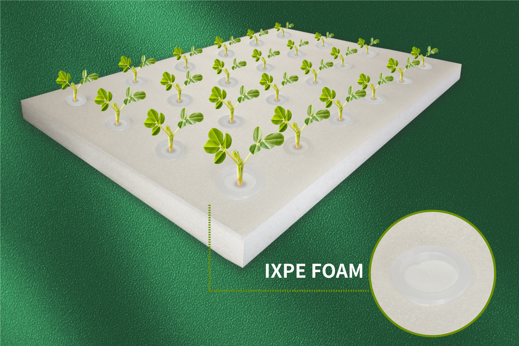 Application of IXPE Foam in Floating Planting Boards